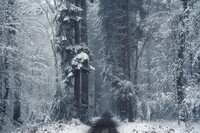SI-RX2214_showcase-MartinPodt-snow-3