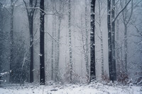 SI-RX2214_showcase-MartinPodt-snow-12