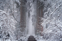 SI-RX2214_showcase-MartinPodt-snow-6