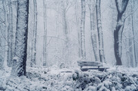 SI-RX2214_showcase-MartinPodt-snow-10