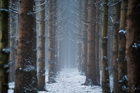 SI-RX2214_showcase-MartinPodt-snow-17