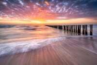 SI-W2204_showcase-seascape-EllenvandenDoel