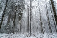 SI-RX2214_showcase-MartinPodt-snow-9