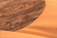 SI-RX4214_showcase-Mike-Muizebelt-4