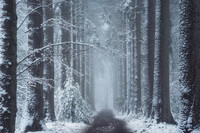 SI-RX2214_showcase-MartinPodt-snow-4