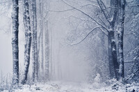 SI-RX2214_showcase-MartinPodt-snow-11