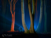 SI-RX2214_showcase-Mike-Muizebelt-lightpaint