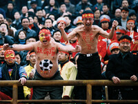 SI_showcase_big fans