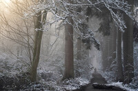 SI-RX2214_showcase-MartinPodt-snow-14