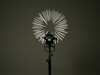 NL-PJ-FMM-18-36_product-image-3