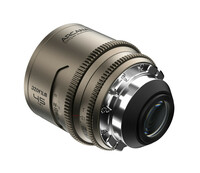 DZO-AR45PLM_product-image-4