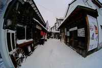 TO-SZ8_showcase_Toshiya-Ogawa-6
